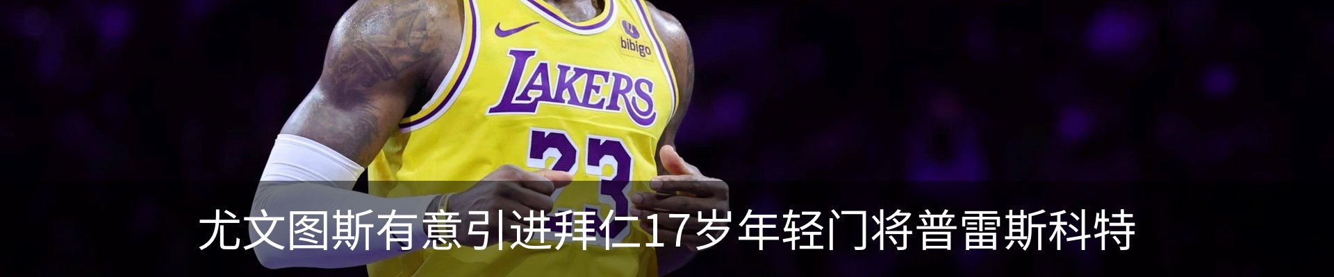 内页banner
